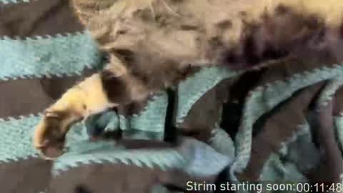 Booker Baxton online show from 03-15-26, 03:01