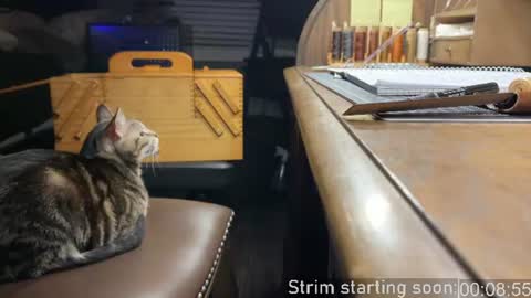 Snapshot of booker_baxton chatting on 07-17-26, 03:02 Booker Baxton online show from 07-17-26, 03:02