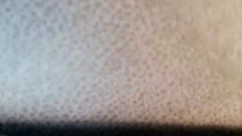 Snapshot of boolika chatting on 03-11-25, 10:53 Boolika online show from 03-11-25, 10:53