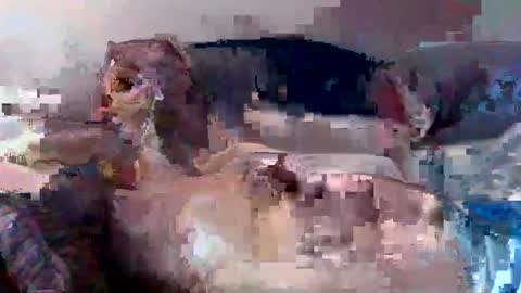 Snapshot of boomer64814390 chatting on 07-12-26, 07:32 boomer64814390 online show from 07-12-26, 07:32