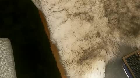 Kim and Kooper online show from 03-07-25, 02:25