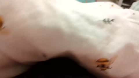 Borderslad1101 online show from 12-22-25, 08:06