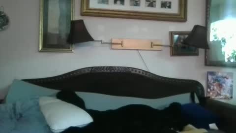 Snapshot of boredaf6678 chatting on 12-16-24, 10:50 boredaf6678 online show from 12-16-24, 10:50