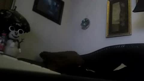 Snapshot of boredaf6678 chatting on 12-23-24, 09:05 boredaf6678 online show from 12-23-24, 09:05