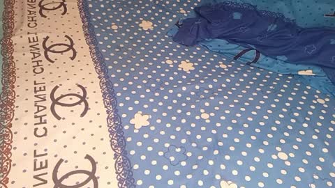 bossetassy online show from 04-09-26, 04:01