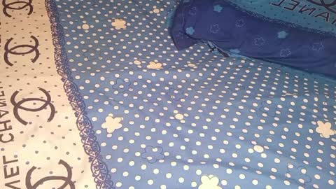 bossetassy online show from 04-10-26, 05:17