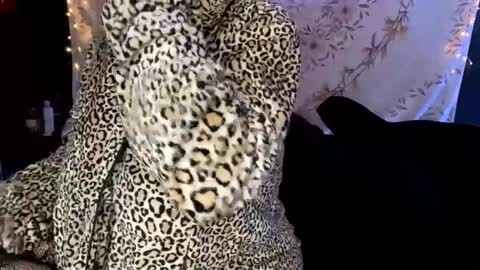 Snapshot of bossmomma chatting on 12-13-24, 04:33 BossMom online show from 12-13-24, 04:33