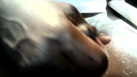 Snapshot of botofogo chatting on 01-19-26, 08:07 botofogo online show from 01-19-26, 08:07