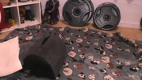 Pumpkin Butt online show from 04-10-26, 06:29