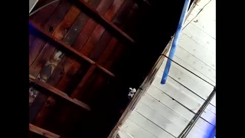 bouncr714 online show from 02-26-26, 07:46