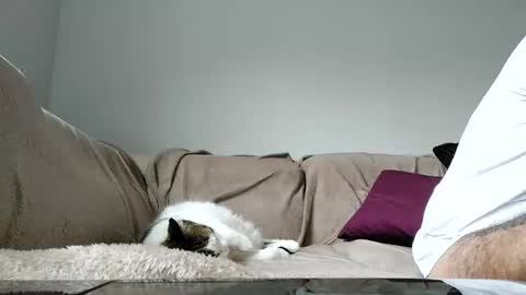 Dan online show from 04-15-26, 01:29