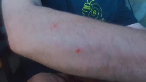 brainrrawtt online show from 03-11-25, 08:52