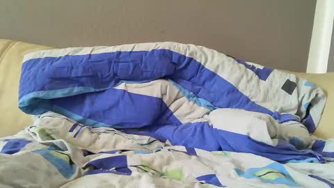 Snapshot of bramer8787 chatting on 02-01-25, 09:00 bramer8787 online show from 02-01-25, 09:00