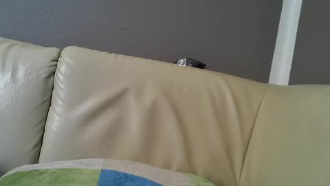 Snapshot of bramer8787 chatting on 02-09-25, 05:29 bramer8787 online show from 02-09-25, 05:29