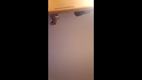 brandon281997 online show from 04-01-26, 12:06