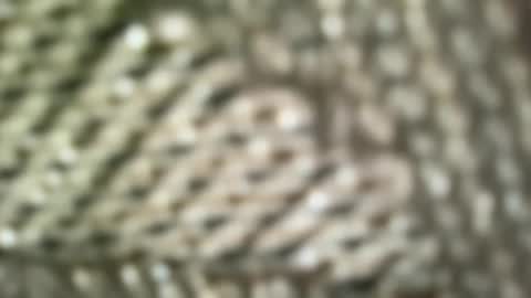 Snapshot of brandonconrad chatting on 02-07-26, 06:44 brandonconrad online show from 02-07-26, 06:44