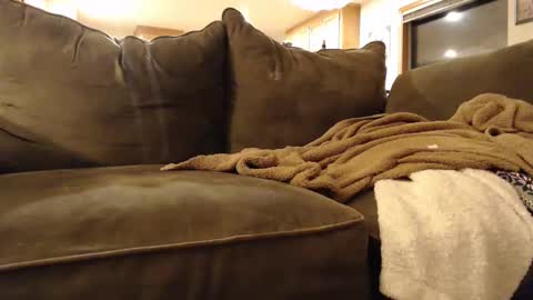 Snapshot of brandondot chatting on 02-03-25, 05:51 brandondot online show from 02-03-25, 05:51