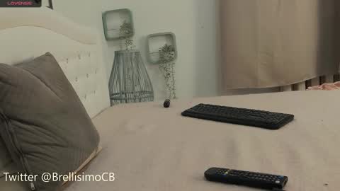 Snapshot of brell_line chatting on 02-17-25, 01:32 Brelland online show from 02-17-25, 01:32