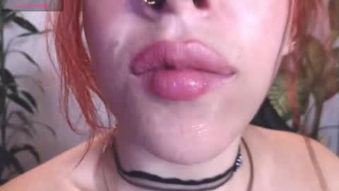 Bri  online show from 02-08-26, 10:24