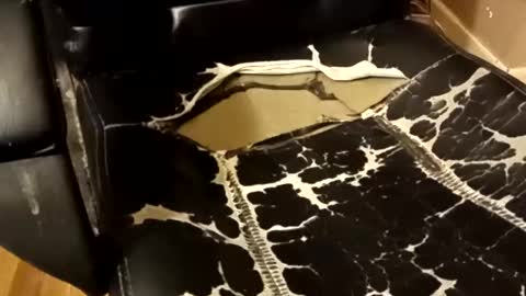 Snapshot of brian0169 chatting on 12-14-25, 01:33 BB online show from 12-14-25, 01:33