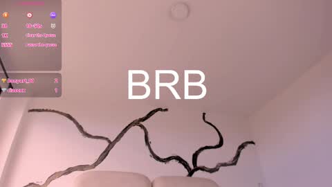 Snapshot of bridgetrodriguez chatting on 02-20-25, 06:13 online show from 02-20-25, 06:13