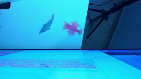 Snapshot of britanny_jones1 chatting on 06-29-26, 05:57 B R I T A N N Y online show from 06-29-26, 05:57