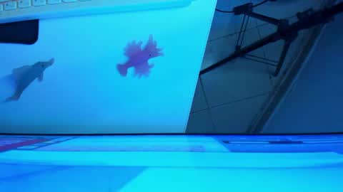 Snapshot of britanny_jones1 chatting on 07-08-26, 09:25 B R I T A N N Y online show from 07-08-26, 09:25