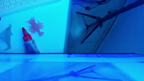 Snapshot of britanny_jones1 chatting on 07-16-26, 01:06 B R I T A N N Y online show from 07-16-26, 01:06