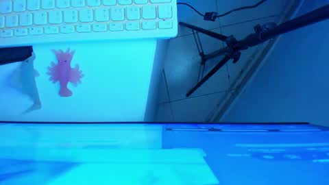Snapshot of britanny_jones1 chatting on 07-17-26, 10:33 B R I T A N N Y online show from 07-17-26, 10:33