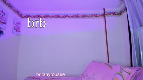 Snapshot of britanyrousee chatting on 01-30-25, 03:00 Emily online show from 01-30-25, 03:00