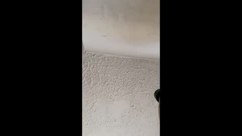 Brittany  online show from 03-31-26, 12:38