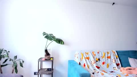 Snapshot of bronzetease chatting on 02-19-26, 07:43 JOIN MY CHANNEL ON TELEGRAM online show from 02-19-26, 07:43