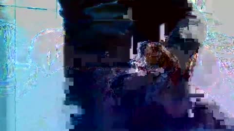 bruno5629 online show from 11-27-25, 01:13