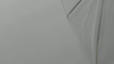 Snapshot of bruno_bellini chatting on 11-23-25, 11:10 Bruno Bellini online show from 11-23-25, 11:10