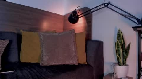 Snapshot of bruno_woods chatting on 05-06-26, 02:11 Andres Suarez online show from 05-06-26, 02:11