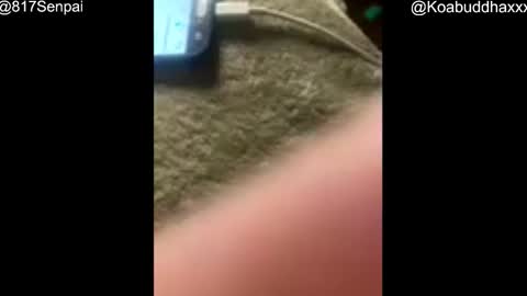 Snapshot of buddhax chatting on 11-27-25, 11:56 Koa Kobe online show from 11-27-25, 11:56