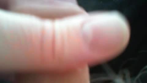 bullemoe online show from 03-09-26, 12:31