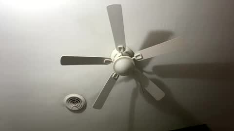 bunnibaby333 online show from 09-28-25, 09:58