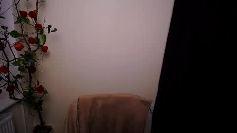 Ariel online show from 03-20-26, 09:08