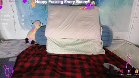 Snapshot of bunnycheekz chatting on 01-28-25, 02:00 Tokki bunny online show from 01-28-25, 02:00