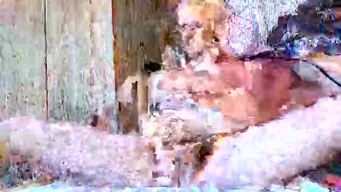 burnzart online show from 09-22-25, 08:33