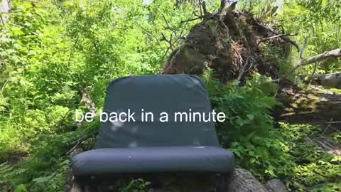 busbuddies online show from 06-22-26, 04:15