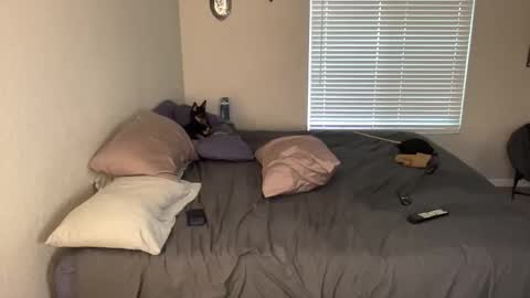 Pocket Daddy cockring gaycouple cockring lovense daddy online show from 05-19-26, 01:56