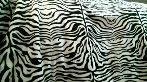 bustinfree online show from 02-05-25, 03:31