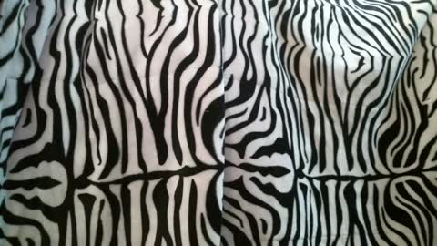 bustinfree online show from 02-28-25, 03:37