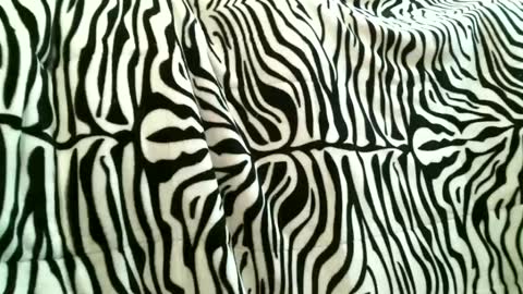 bustinfree online show from 09-15-25, 03:34