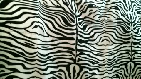 bustinfree online show from 09-16-25, 03:35