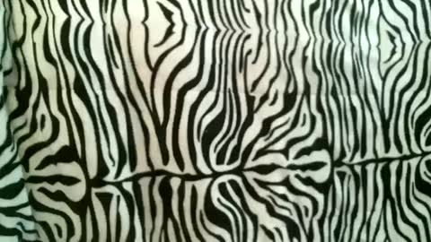 bustinfree online show from 10-18-25, 12:39