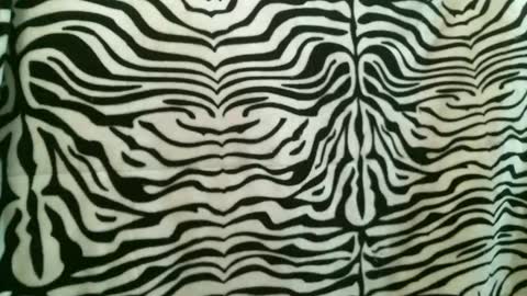 bustinfree online show from 01-12-26, 02:55