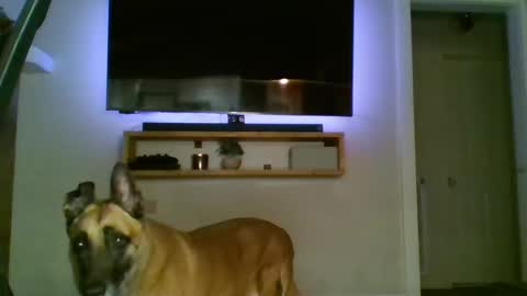 Snapshot of bwc44u chatting on 10-02-25, 02:07 bwc44u online show from 10-02-25, 02:07